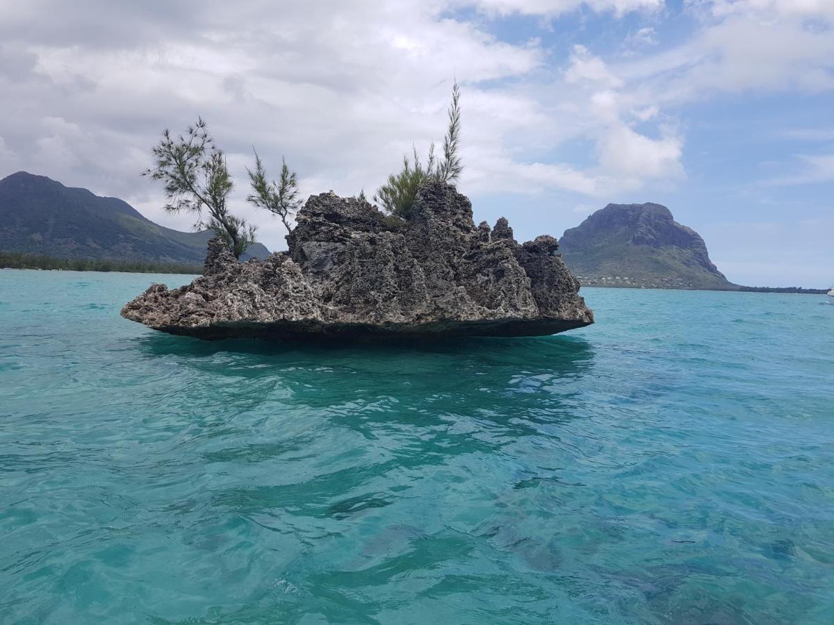 La Marie Joana Le Morne
